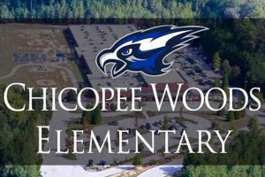 A Class Above: Chicopee Woods Elementary School's Mrs. Sutton's Class Stands Out in Elementary Education School Finder US: Find the Best Schools Near You – Compare & Explore Now A Class Above: Chicopee Woods Elementary School's Mrs. Sutton's Class Stands Out in Elementary Education | School Finder US: Find the Best Schools Near You – Compare & Explore Now