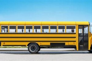 The Ultimate Guide to School Bus Rentals for Mobile Convenience and Safety | School Finder US: Find the Best Schools Near You – Compare & Explore Now