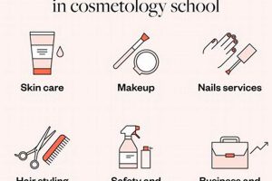 Uncover the Secrets of Cosmetology School: A Journey of Beauty and Expertise | School Finder US: Find the Best Schools Near You – Compare & Explore Now