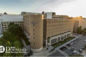 Downstate Health Sciences University: A Top-Ranked Medical School for Aspiring Physicians School Finder US: Find the Best Schools Near You – Compare & Explore Now Downstate Health Sciences University: A Top-Ranked Medical School for Aspiring Physicians | School Finder US: Find the Best Schools Near You – Compare & Explore Now