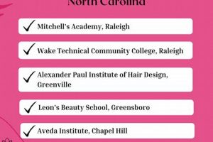 Top Cosmetology Schools in Jacksonville, North Carolina for Your Beauty Career School Finder US: Find the Best Schools Near You – Compare & Explore Now Top Cosmetology Schools in Jacksonville, North Carolina for Your Beauty Career | School Finder US: Find the Best Schools Near You – Compare & Explore Now