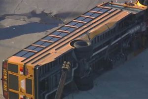 Why Younger Students Face Higher Risks: School Bus Safety Concerns School Finder US: Find the Best Schools Near You – Compare & Explore Now Why Younger Students Face Higher Risks: School Bus Safety Concerns | School Finder US: Find the Best Schools Near You – Compare & Explore Now