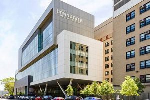SUNY Downstate Medical School: A Top-Ranked Choice for Aspiring Physicians School Finder US: Find the Best Schools Near You – Compare & Explore Now SUNY Downstate Medical School: A Top-Ranked Choice for Aspiring Physicians | School Finder US: Find the Best Schools Near You – Compare & Explore Now