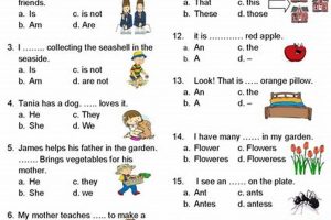 Essential Grammar Practice for Elementary School Success School Finder US: Find the Best Schools Near You – Compare & Explore Now Essential Grammar Practice for Elementary School Success | School Finder US: Find the Best Schools Near You – Compare & Explore Now
