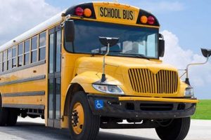 Uncover the Weight of a Fully Loaded School Bus: Essential Insights School Finder US: Find the Best Schools Near You – Compare & Explore Now Uncover the Weight of a Fully Loaded School Bus: Essential Insights | School Finder US: Find the Best Schools Near You – Compare & Explore Now