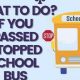 Oops! I Accidentally Passed a Stopped School Bus: What Should I Do? | School Finder US: Find the Best Schools Near You – Compare & Explore Now
