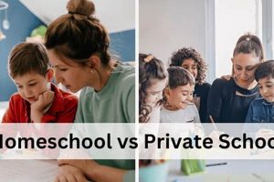 Homeschool vs. Private School: The Ultimate Guide for Parents School Finder US: Find the Best Schools Near You – Compare & Explore Now Homeschool vs. Private School: The Ultimate Guide for Parents | School Finder US: Find the Best Schools Near You – Compare & Explore Now