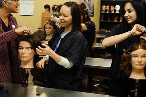 How Does Cosmetology School Work School Finder US: Find the Best Schools Near You – Compare & Explore Now How Does Cosmetology School Work | School Finder US: Find the Best Schools Near You – Compare & Explore Now