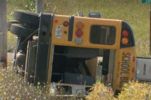 Tragic Random Lake School Bus Accident: A Call for Enhanced Safety Measures School Finder US: Find the Best Schools Near You – Compare & Explore Now Tragic Random Lake School Bus Accident: A Call for Enhanced Safety Measures | School Finder US: Find the Best Schools Near You – Compare & Explore Now