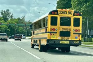 Master the Roads: Your Guide to Driving Schools in West Palm Beach, FL School Finder US: Find the Best Schools Near You – Compare & Explore Now Master the Roads: Your Guide to Driving Schools in West Palm Beach, FL | School Finder US: Find the Best Schools Near You – Compare & Explore Now