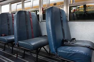The Ultimate Guide to School Bus Seats: Safety, Comfort, and More School Finder US: Find the Best Schools Near You – Compare & Explore Now The Ultimate Guide to School Bus Seats: Safety, Comfort, and More | School Finder US: Find the Best Schools Near You – Compare & Explore Now
