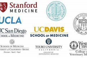 Is a 3.7 GPA Good Enough for Medical School? The Ultimate Guide School Finder US: Find the Best Schools Near You – Compare & Explore Now Is a 3.7 GPA Good Enough for Medical School? The Ultimate Guide | School Finder US: Find the Best Schools Near You – Compare & Explore Now