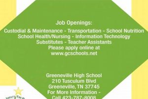 Greeneville City Schools Employment: Find Your Dream Job in Education School Finder US: Find the Best Schools Near You – Compare & Explore Now Greeneville City Schools Employment: Find Your Dream Job in Education | School Finder US: Find the Best Schools Near You – Compare & Explore Now