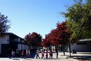 Exceptional Education at Cecilia Melendez Isla Vista Elementary School School Finder US: Find the Best Schools Near You – Compare & Explore Now Exceptional Education at Cecilia Melendez Isla Vista Elementary School | School Finder US: Find the Best Schools Near You – Compare & Explore Now