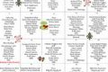 Jackson County School Lunch Menu - A Smart Choice for Students School Finder US: Find the Best Schools Near You – Compare & Explore Now Jackson County School Lunch Menu - A Smart Choice for Students | School Finder US: Find the Best Schools Near You – Compare & Explore Now