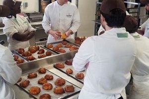 World's Elite: Unveiling the Best Pastry Schools Globally School Finder US: Find the Best Schools Near You – Compare & Explore Now World's Elite: Unveiling the Best Pastry Schools Globally | School Finder US: Find the Best Schools Near You – Compare & Explore Now